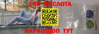 шишки Донской