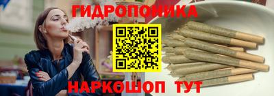 шишки Донской