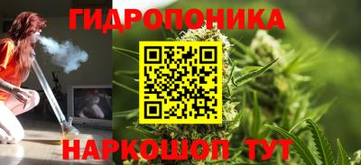 шишки Донской