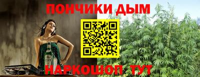 шишки Донской